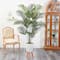 6.5ft. Golden Cane Palm Tree in White Planter with Stand